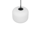Trio Lighting Trio SIGNE hanglamp | E27 Fitting | wit | Ø 25 cm | IP20 | excl. 1x E27 | max. 10W