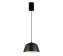 Trio Lighting Trio TOVA hanglamp | E27 Fitting | mat zwart | Ø 30 cm | IP20 | excl. 1x E27 | max. 15W