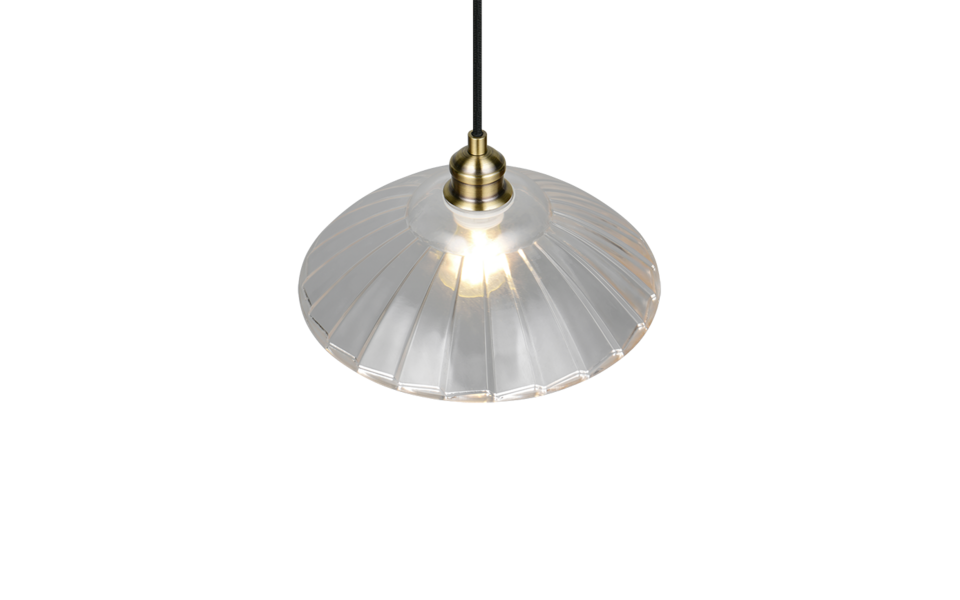 Trio Lighting Trio ELUNA hanglamp | E27 Fitting | oud brons met transparant | Ø 29,5 cm | IP20 | excl. 1x E27 | max. 60W