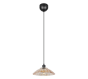 Trio Lighting Trio ELUNA pendant light | 1x E27 max 40W | black | Ø 29.5 cm | IP20 | 150 cm