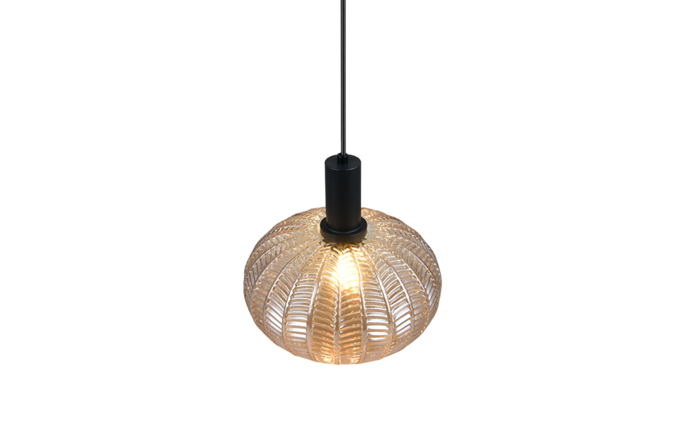 Trio Lighting Trio ELVEZIA pendant light | 1x E27 max 40W | Ø 26 cm | IP20 | 150 cm Trio Lighting Trio ELVEZIA pendant light | 1x E27 max 40W | Ø 26 cm | IP20 | 150 cm