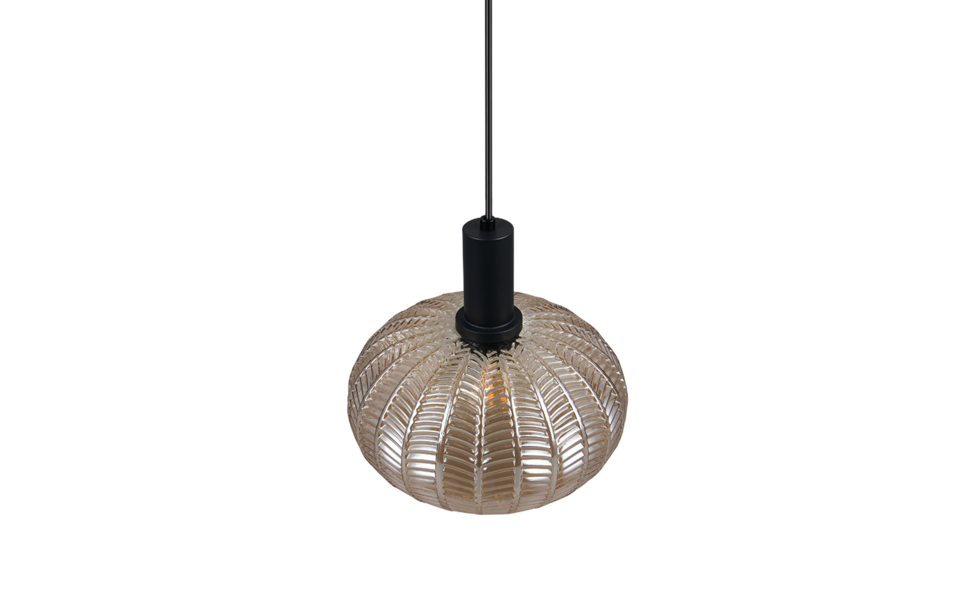 Trio Lighting Trio ELVEZIA pendant light | 1x E27 max 40W | Ø 26 cm | IP20 | 150 cm Trio Lighting Trio ELVEZIA pendant light | 1x E27 max 40W | Ø 26 cm | IP20 | 150 cm