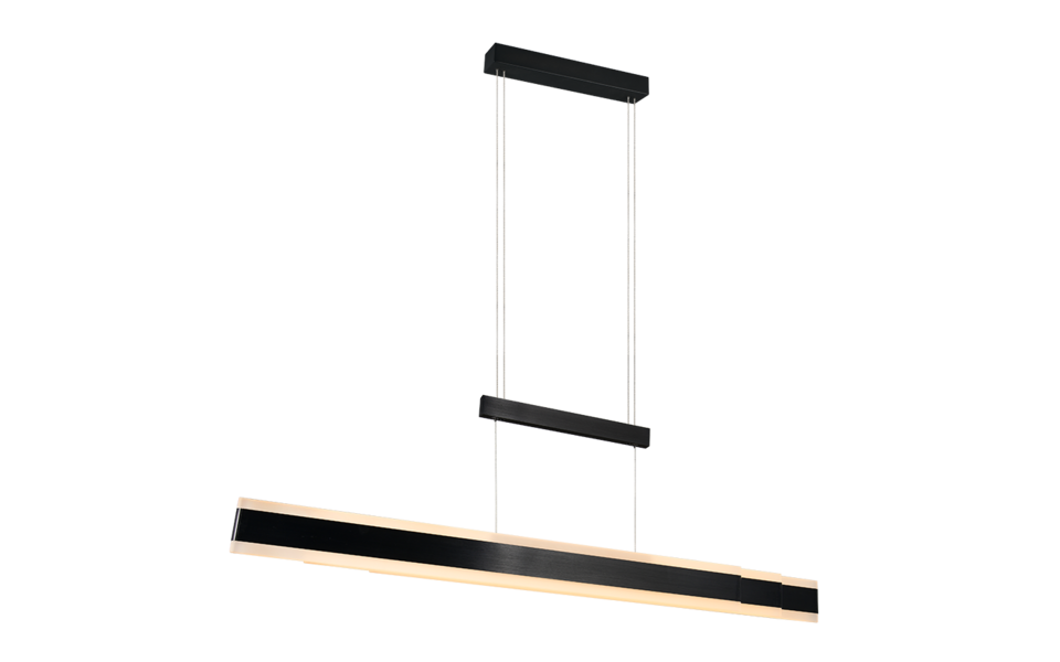 Trio Lighting Trio ARCOLA pendant light | 45W | black | IP20 | 174 cm