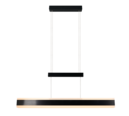 Trio Lighting Trio ARCOLA pendant light | 45W | black | IP20 | 174 cm