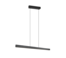 Trio Lighting Trio DONEGAL pendant light | 30W | black | IP20 | 180 cm