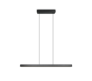 Trio Lighting Trio DONEGAL pendant light | 30W | black | IP20 | 180 cm