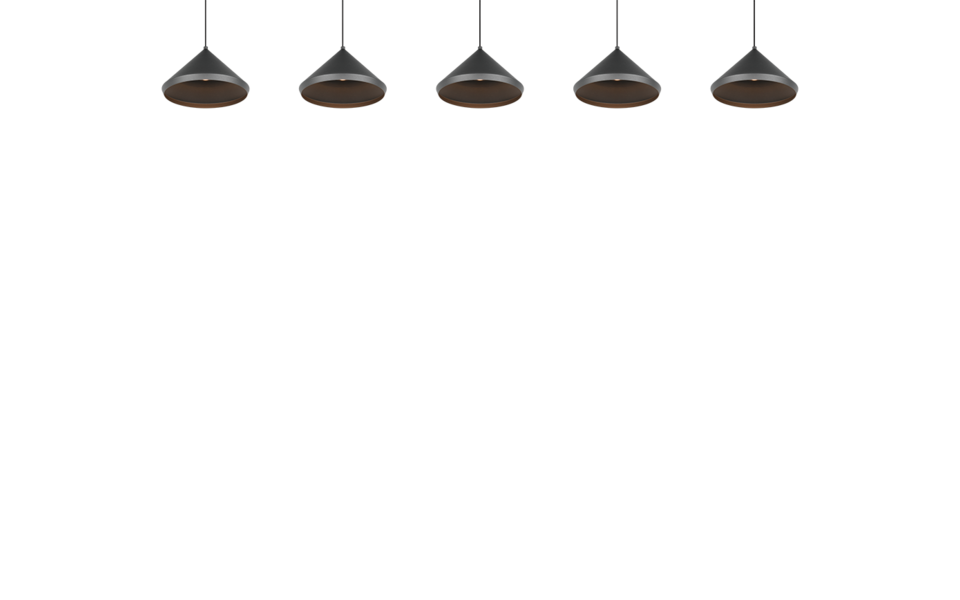 Trio Lighting Trio LAGUNA pendant light | 5W | black | IP20 | 200 cm
