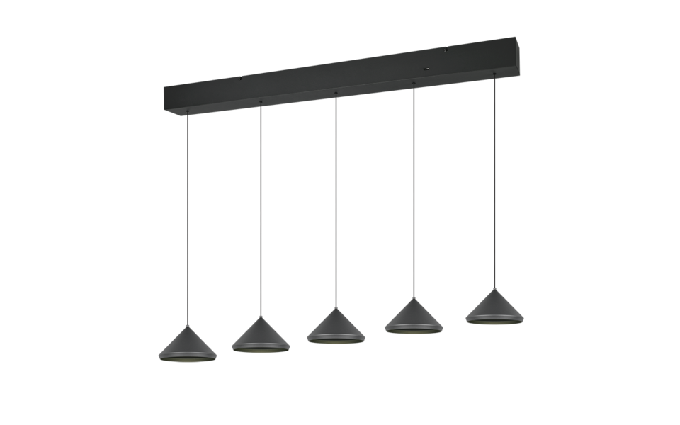 Trio Lighting Trio LAGUNA pendant light | 5W | black | IP20 | 200 cm