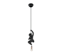 Trio Lighting Trio FIPS pendant light | 1x E14 max 40W | IP20 | 150 cm