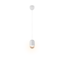 Trio Lighting Trio NARA hanglamp | E27 Fitting | wit mat | Ø 11 cm | IP20 | excl. 1x E27 | max. 15W