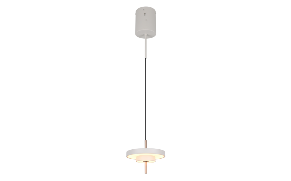 Trio Lighting Trio KEATON pendant light | 10W | Ø 20 cm | IP20 | 150 cm Trio Lighting Trio KEATON pendant light | 10W | Ø 20 cm | IP20 | 150 cm