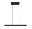 Trio Lighting Trio EMERSON LED pendant light | 1x 24W | black with gold | IP20 | 150 cm