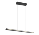 Trio Lighting Trio GRAHAM LED pendant light | 1x 44W 4200 lm 2300-4000K | black | IP20 | 150 cm