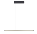 Trio Lighting Trio GRAHAM LED pendant light | 1x 44W 4200 lm 2300-4000K | black | IP20 | 150 cm