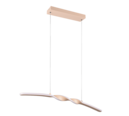 Trio Lighting Trio GINKO LED pendant light | 1x 16W 2000 lm 3000K | IP20 | 150 cm