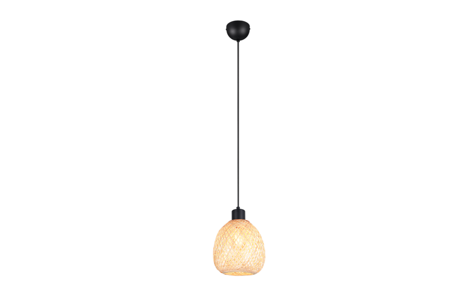 Trio Lighting Trio AMELIE pendant light | 1x E27 max 40W | Ø 18 cm | IP20 | 150 cm