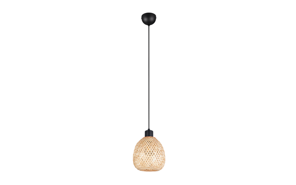 Trio Lighting Trio AMELIE pendant light | 1x E27 max 40W | Ø 18 cm | IP20 | 150 cm