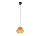 Trio Lighting Trio LUCILLE hanglamp | E27 Fitting | mat zwart met bruin | Ø 20 cm | IP20 | excl. 1x E27 | max. 28W