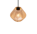 Trio Lighting Trio LUCILLE hanglamp | E27 Fitting | mat zwart met bruin | Ø 20 cm | IP20 | excl. 1x E27 | max. 28W