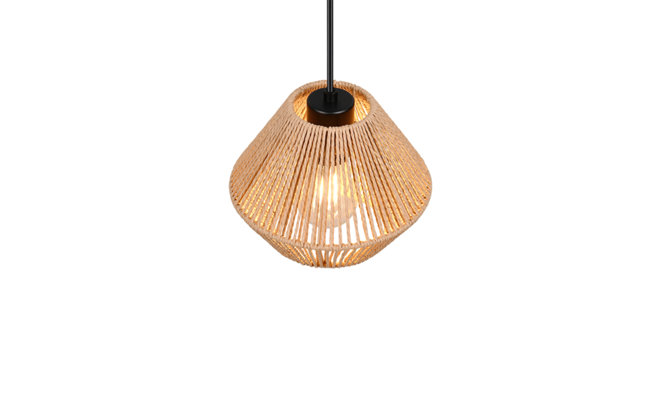 Trio Lighting Trio LUCILLE hanglamp | E27 Fitting | mat zwart met bruin | Ø 20 cm | IP20 | excl. 1x E27 | max. 28W