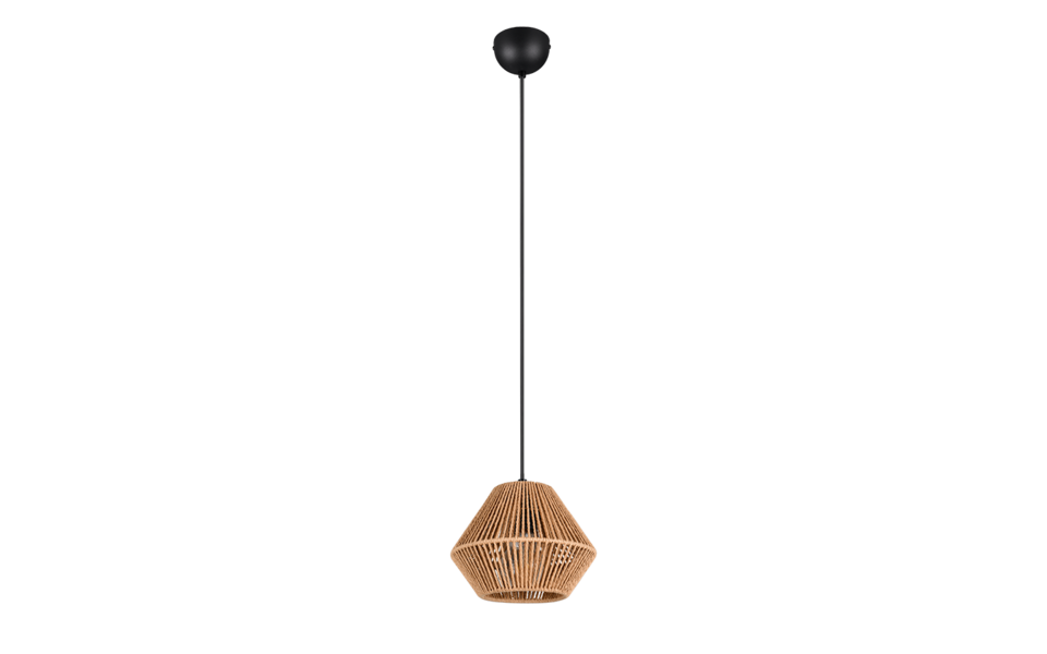 Trio Lighting Trio LUCILLE hanglamp | E27 Fitting | mat zwart met bruin | Ø 20 cm | IP20 | excl. 1x E27 | max. 28W