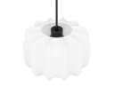 Trio Lighting Trio MADLEINE hanglamp | E27 Fitting | mat zwart met wit | Ø 25 cm | IP20 | excl. 1x E27 | max. 10W