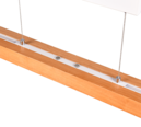Trio Lighting Trio TRAJAN LED pendant light | 1x 45W 5300 lm 2700K | chrome | IP20 | 95 cm