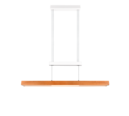 Trio Lighting Trio TRAJAN LED pendant light | 1x 45W 5300 lm 2700K | chrome | IP20 | 95 cm