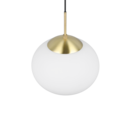 Trio Lighting Trio FOMENTO pendant light | 1x E27 max 40W | Ø 30 cm | IP20 | 150 cm