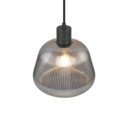 Trio Lighting Trio TARIFA hanglamp | E27 Fitting | mat zwart met verchroomd | Ø 22 cm | IP20 | excl. 1x E27 | max. 25W