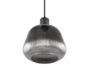 Trio Lighting Trio TARIFA hanglamp | E27 Fitting | mat zwart met verchroomd | Ø 22 cm | IP20 | excl. 1x E27 | max. 25W