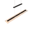 Trio Lighting Trio MILOS LED pendant light | 4x 5W 3000K | black | IP20 | 95 cm