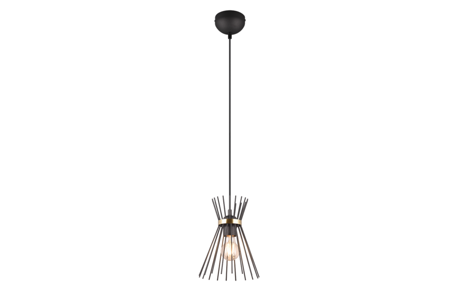 Trio Lighting Trio ROD hanglamp | E27 Fitting | zwart met goud | Ø 20 cm | IP20 | excl. 1x E27 | max. 40W