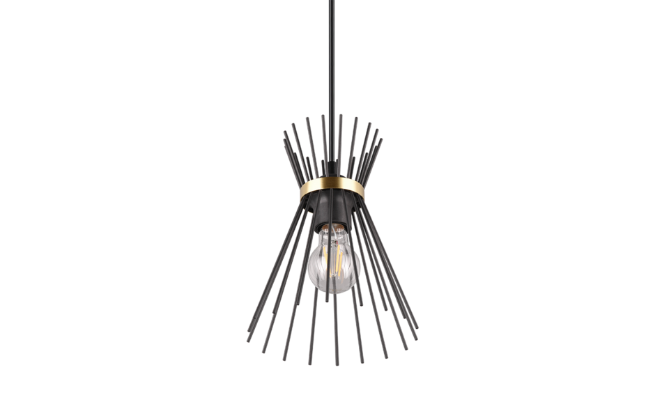 Trio Lighting Trio ROD hanglamp | E27 Fitting | zwart met goud | Ø 20 cm | IP20 | excl. 1x E27 | max. 40W