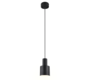 Trio Lighting Trio AGUDO hanglamp | E27 Fitting | mat zwart | Ø 12 cm | IP20 | excl. 1x E27 | max. 10W