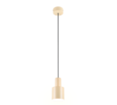 Trio Lighting Trio AGUDO pendant light | 1x E27 max 40W | Ø 12 cm | IP20 | 150 cm