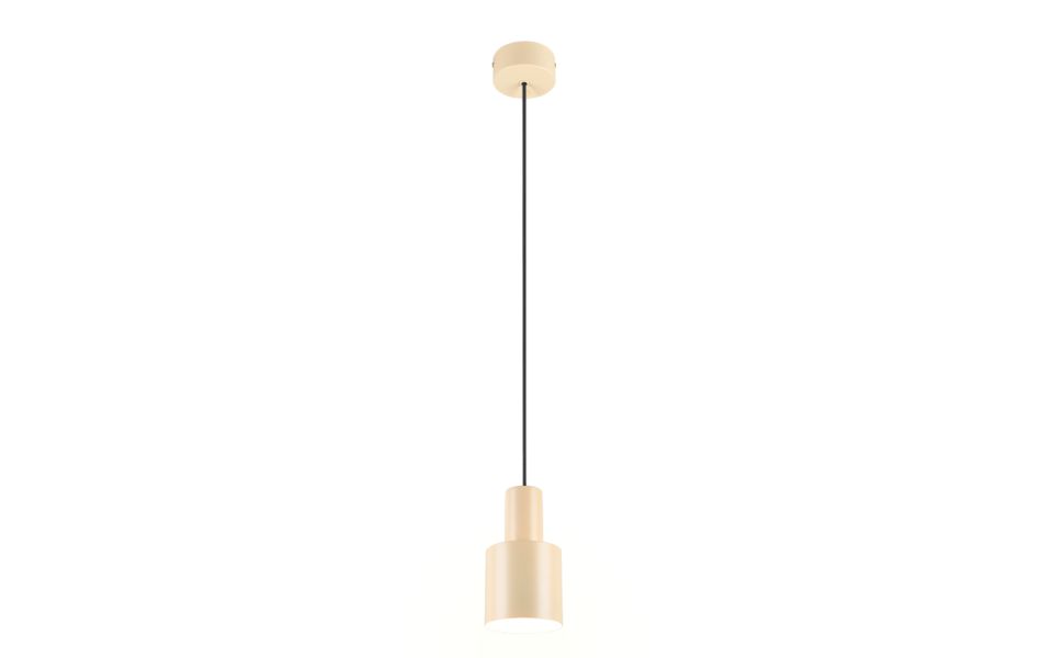 Trio Lighting Trio AGUDO pendant light | 1x E27 max 40W | Ø 12 cm | IP20 | 150 cm