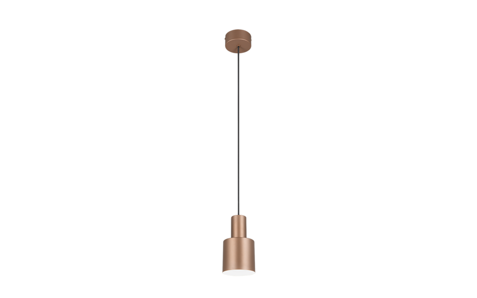 Trio Lighting Trio AGUDO pendant light | 1x E27 max 40W | mocha brown | Ø 12 cm | IP20 | 150 cm Trio Lighting Trio AGUDO pendant light | 1x E27 max 40W | mocha brown | Ø 12 cm | IP20 | 150 cm