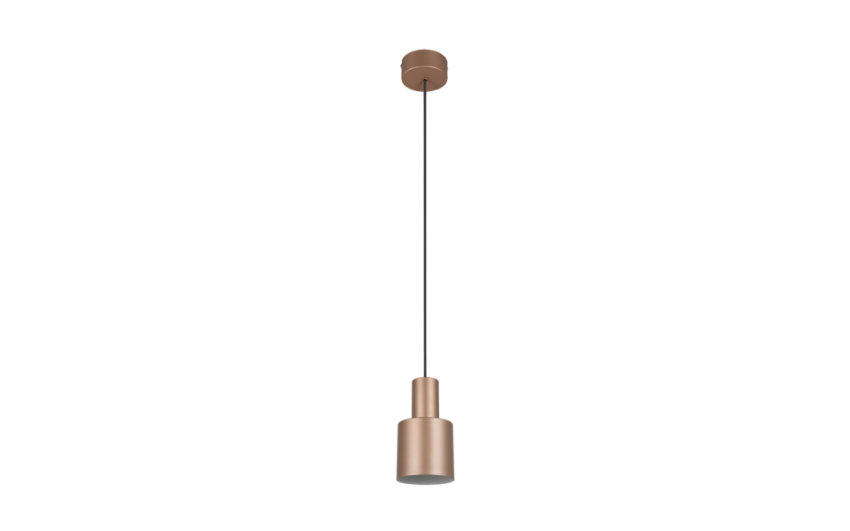 Trio Lighting Trio AGUDO pendant light | 1x E27 max 40W | mocha brown | Ø 12 cm | IP20 | 150 cm Trio Lighting Trio AGUDO pendant light | 1x E27 max 40W | mocha brown | Ø 12 cm | IP20 | 150 cm