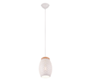 Trio Lighting Trio BIDAR pendant light | 1x E27 max 40W | chrome | IP20 | 21.5 cm