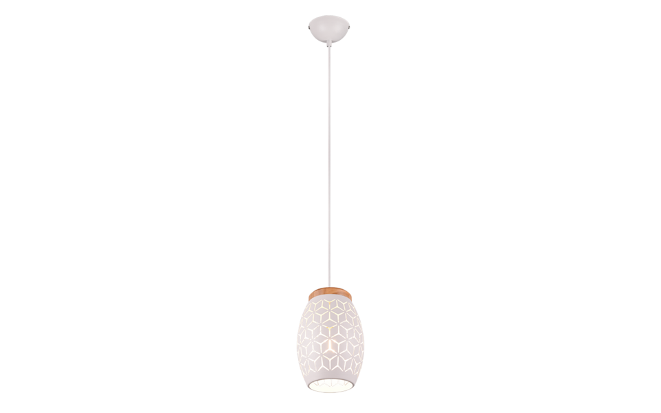 Trio Lighting Trio BIDAR pendant light | 1x E27 max 40W | chrome | IP20 | 21.5 cm