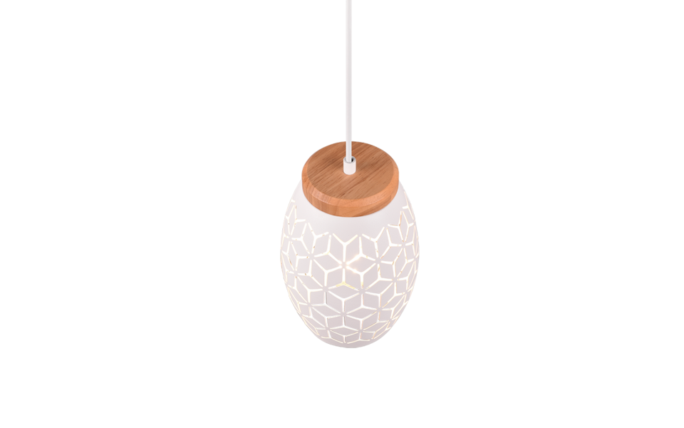 Trio Lighting Trio BIDAR hanglamp | E27 Fitting | wit mat | Ø 15 cm | IP20 | excl. 1x E27 | max. 28W