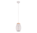 Trio Lighting Trio BIDAR hanglamp | E27 Fitting | wit mat | Ø 15 cm | IP20 | excl. 1x E27 | max. 28W