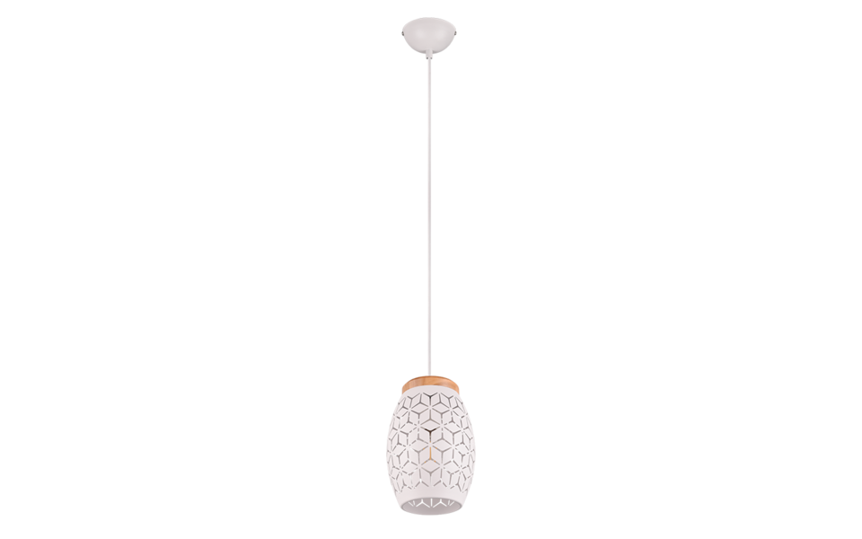 Trio Lighting Trio BIDAR pendant light | 1x E27 max 40W | chrome | IP20 | 21.5 cm