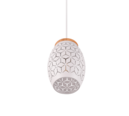Trio Lighting Trio BIDAR pendant light | 1x E27 max 40W | chrome | IP20 | 21.5 cm