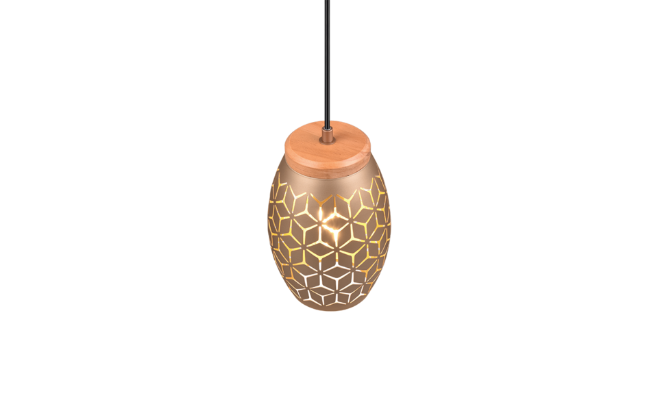 Trio Lighting Trio BIDAR pendant light | 1x E27 max 40W | mocha brown | Ø 15 cm | IP20 | 21.5 cm Trio Lighting Trio BIDAR pendant light | 1x E27 max 40W | mocha brown | Ø 15 cm | IP20 | 21.5 cm