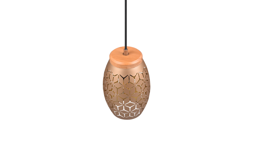 Trio Lighting Trio BIDAR pendant light | 1x E27 max 40W | mocha brown | Ø 15 cm | IP20 | 21.5 cm Trio Lighting Trio BIDAR pendant light | 1x E27 max 40W | mocha brown | Ø 15 cm | IP20 | 21.5 cm