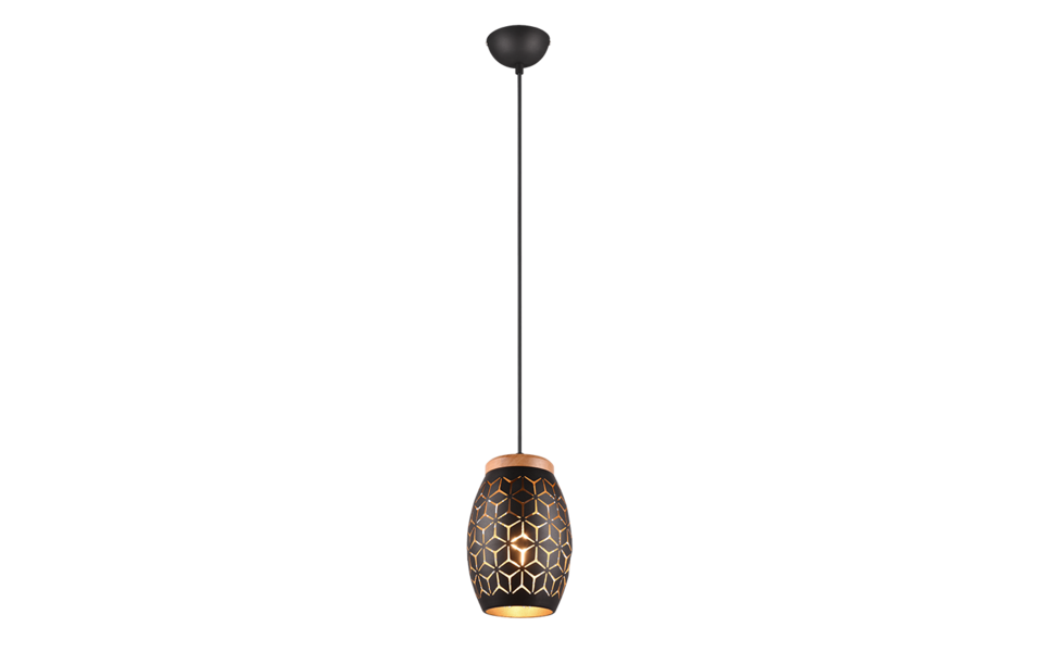 Trio Lighting Trio BIDAR hanglamp | E27 Fitting | zwart met goud | Ø 15 cm | IP20 | excl. 1x E27 | max. 28W Trio Lighting Trio BIDAR hanglamp | E27 Fitting | zwart met goud | Ø 15 cm | IP20 | excl. 1x E27 | max. 28W