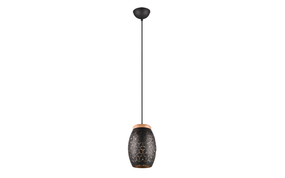 Trio Lighting Trio BIDAR hanglamp | E27 Fitting | zwart met goud | Ø 15 cm | IP20 | excl. 1x E27 | max. 28W Trio Lighting Trio BIDAR hanglamp | E27 Fitting | zwart met goud | Ø 15 cm | IP20 | excl. 1x E27 | max. 28W
