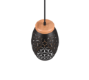 Trio Lighting Trio BIDAR pendant light | 1x E27 max 40W | black with gold | IP20 | 21.5 cm